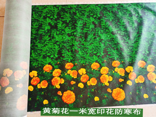 带粉花的印花防寒布